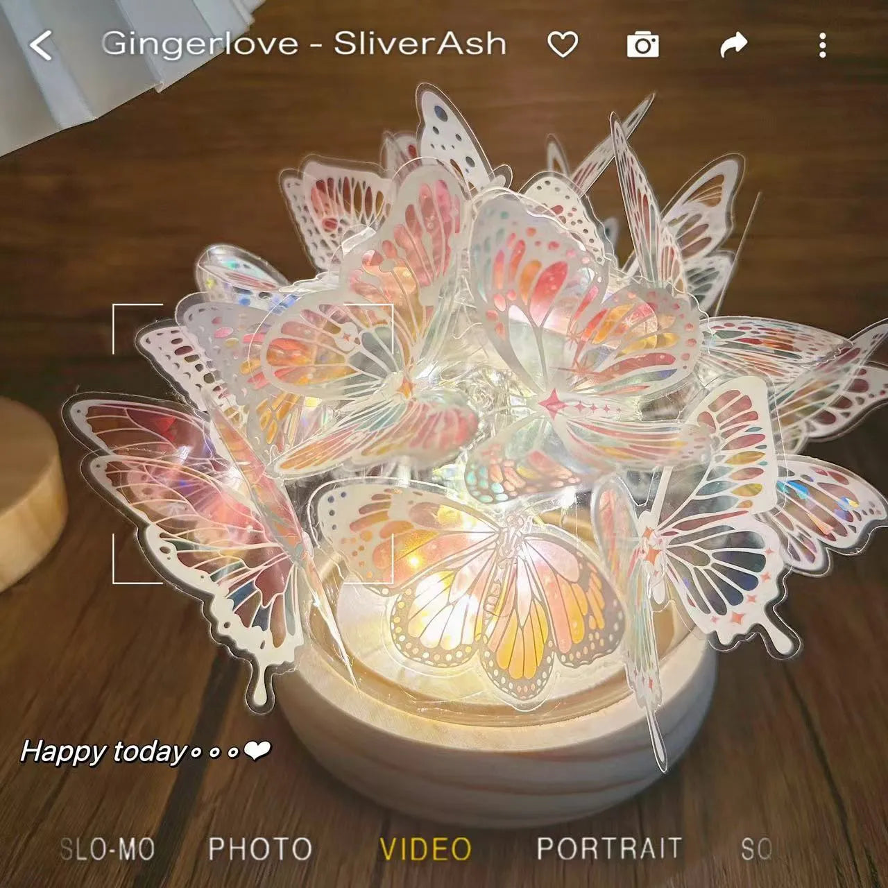 Butterfly night light with glass lampshade on raw wood base for bedroom ambience lighting