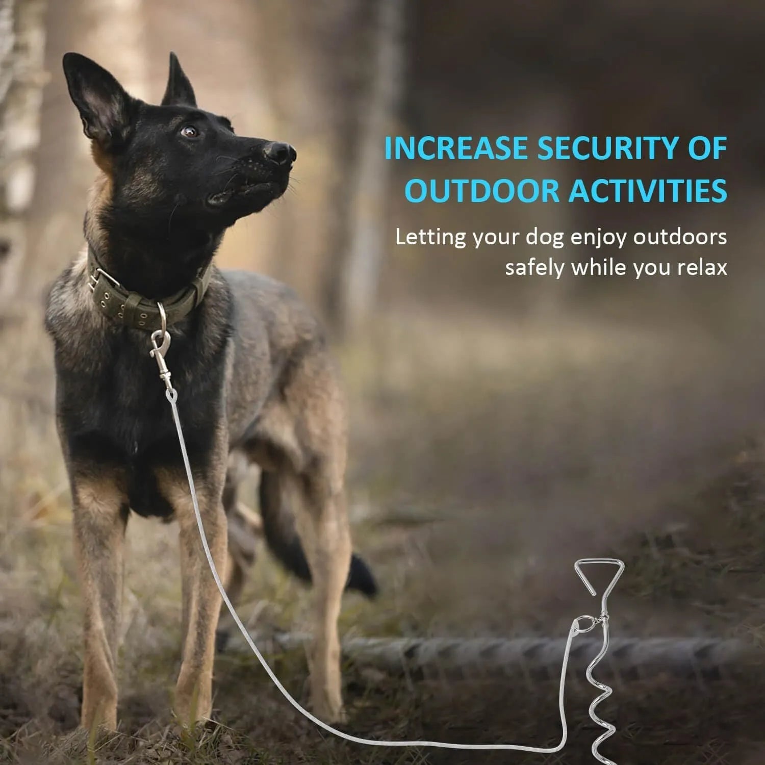 Silver spiral dog tie out stake for ground anchoring in outdoor sandy soil conditions
