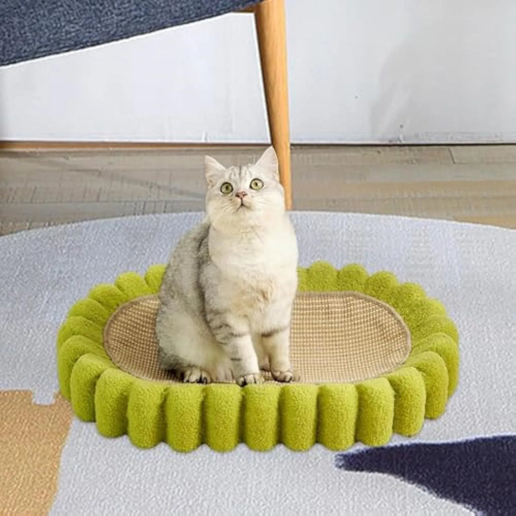 Green oval-shaped cat scratch pad bowl with sisal scratching surface, functioning as a cat bed.