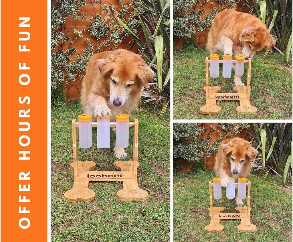 Wooden dog puzzle toy with sliding blocks showing treat compartments measuring 31x30x20cm