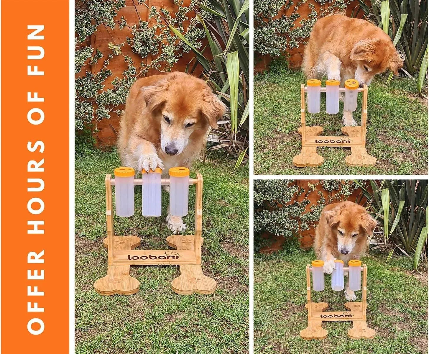 Wooden dog puzzle toy with sliding blocks showing treat compartments measuring 31x30x20cm