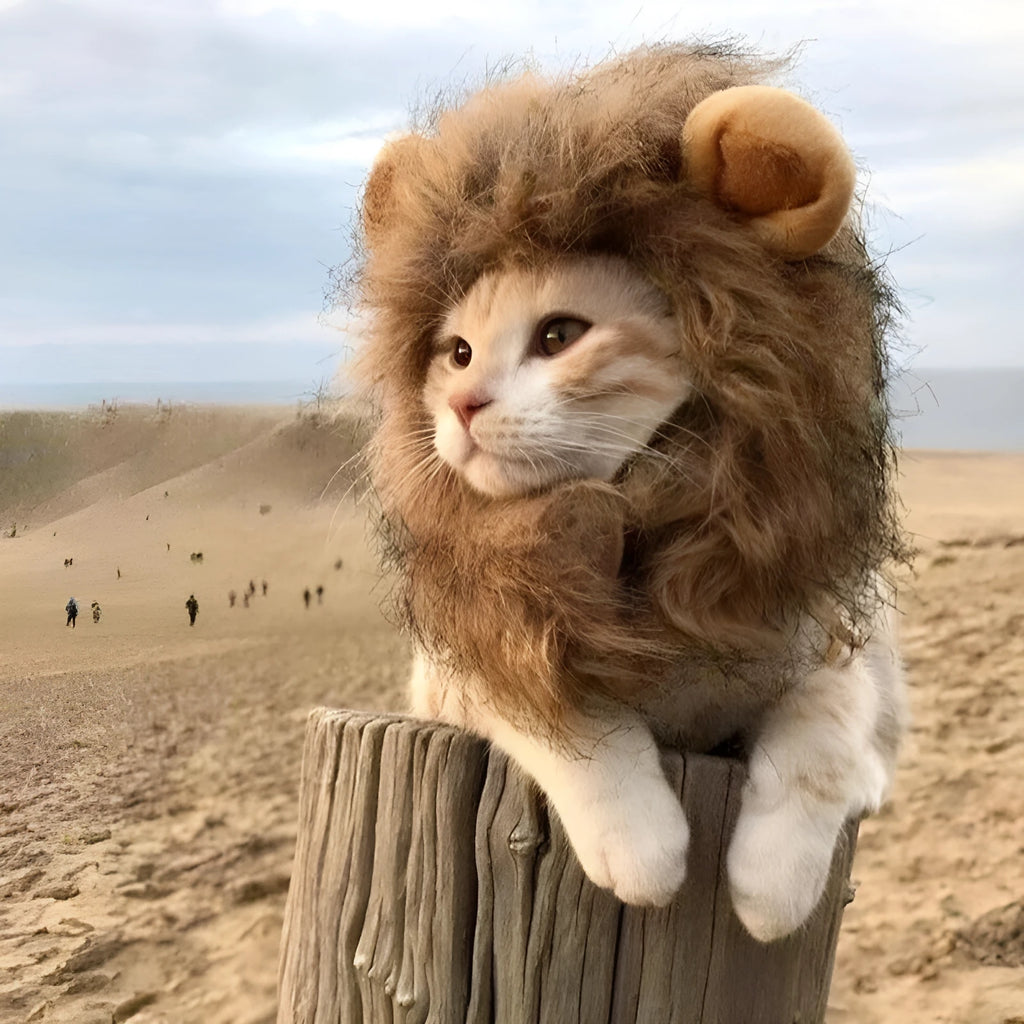 Lion mane pet costume wig on cat showing artificial hair texture and adjustable elastic band