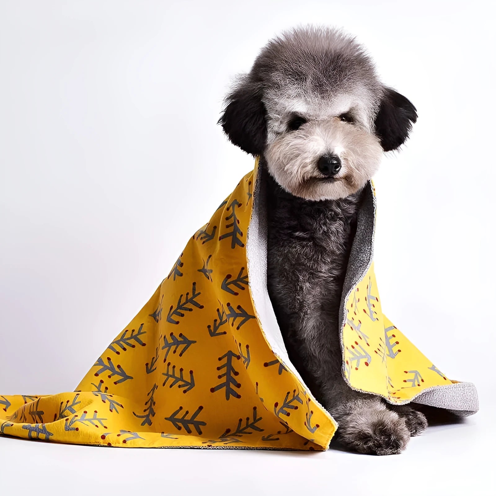 Double-sided cotton wool pet blanket with cartoon dinosaur print lying flat