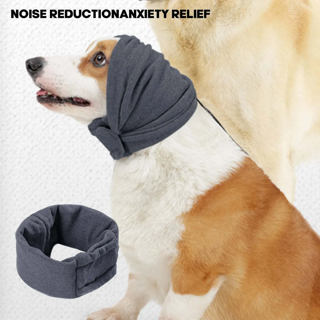 A black dog wearing a purple polyester calming hoodie that covers its head and ears.