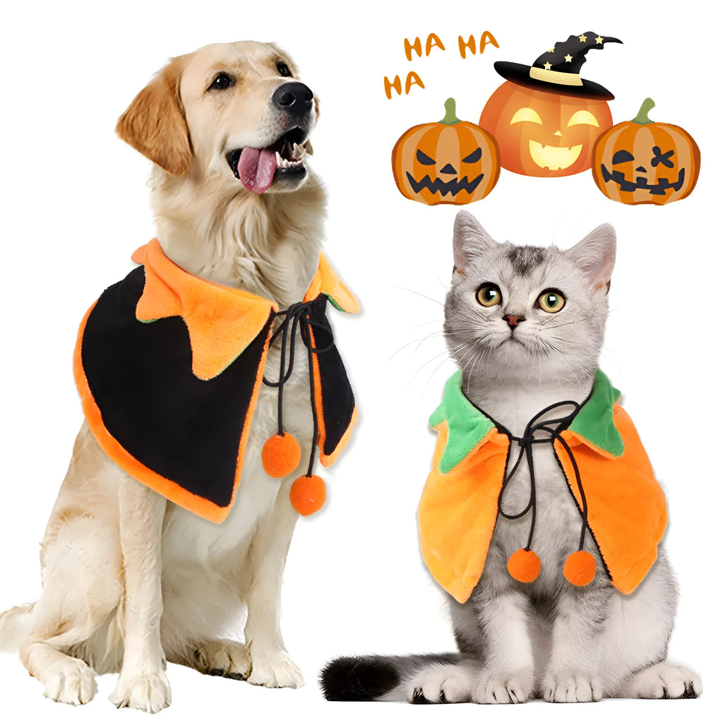 Reversible Halloween pumpkin dog cloak on pet with plush fabric in orange and black