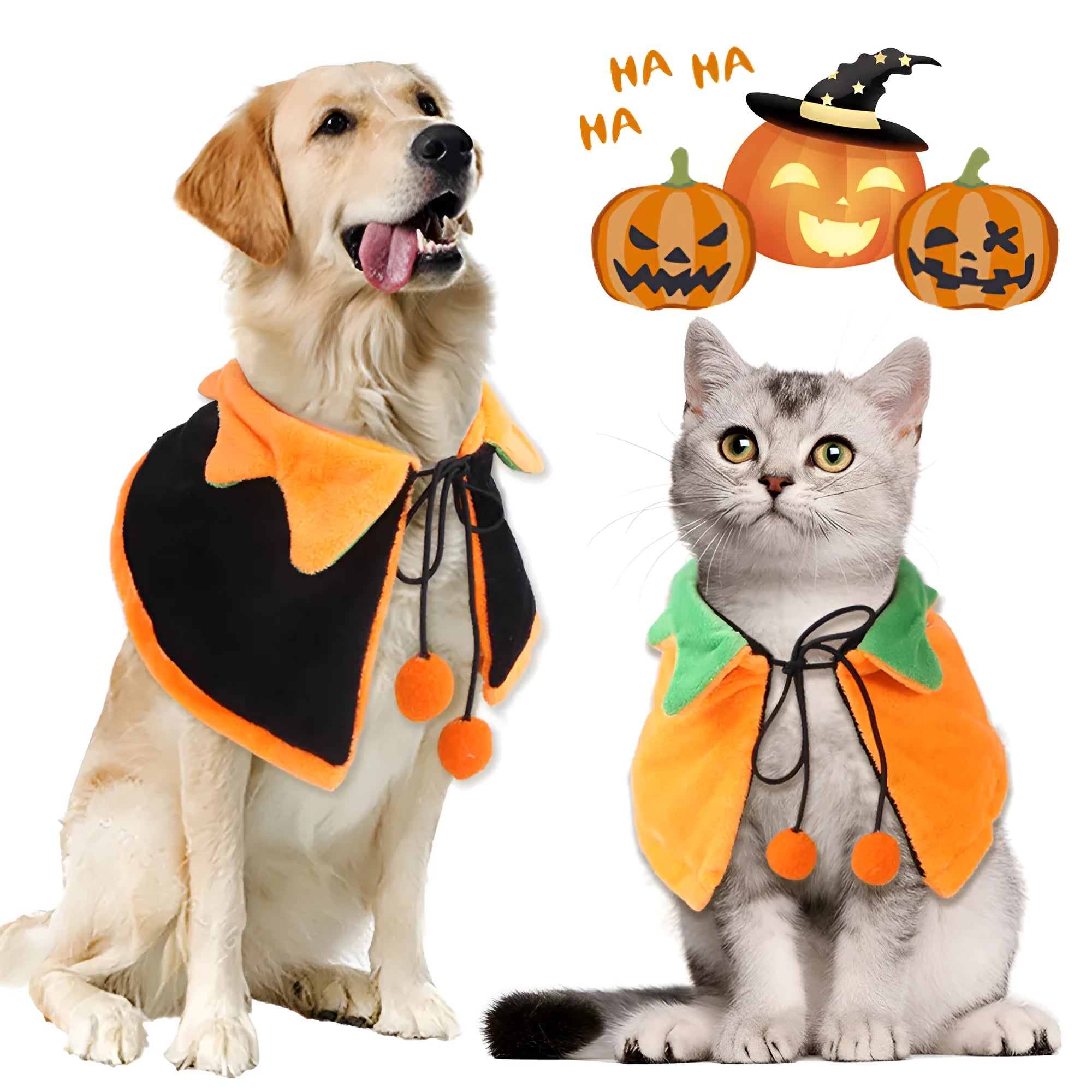 Reversible Halloween pumpkin dog cloak on pet with plush fabric in orange and black