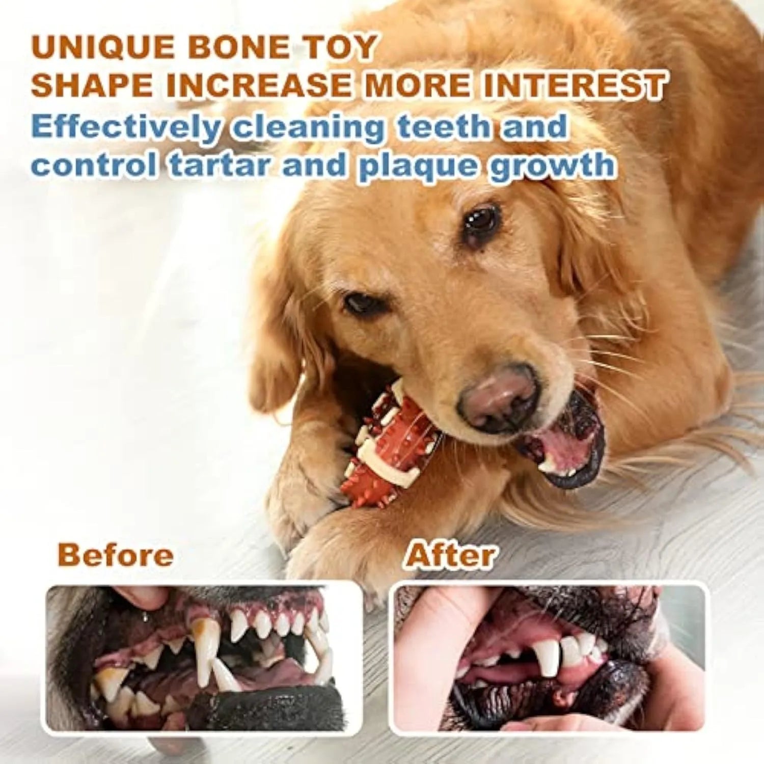 Bone-shaped natural rubber dog molar chew toy for teeth grinding and anxiety relief in two size options