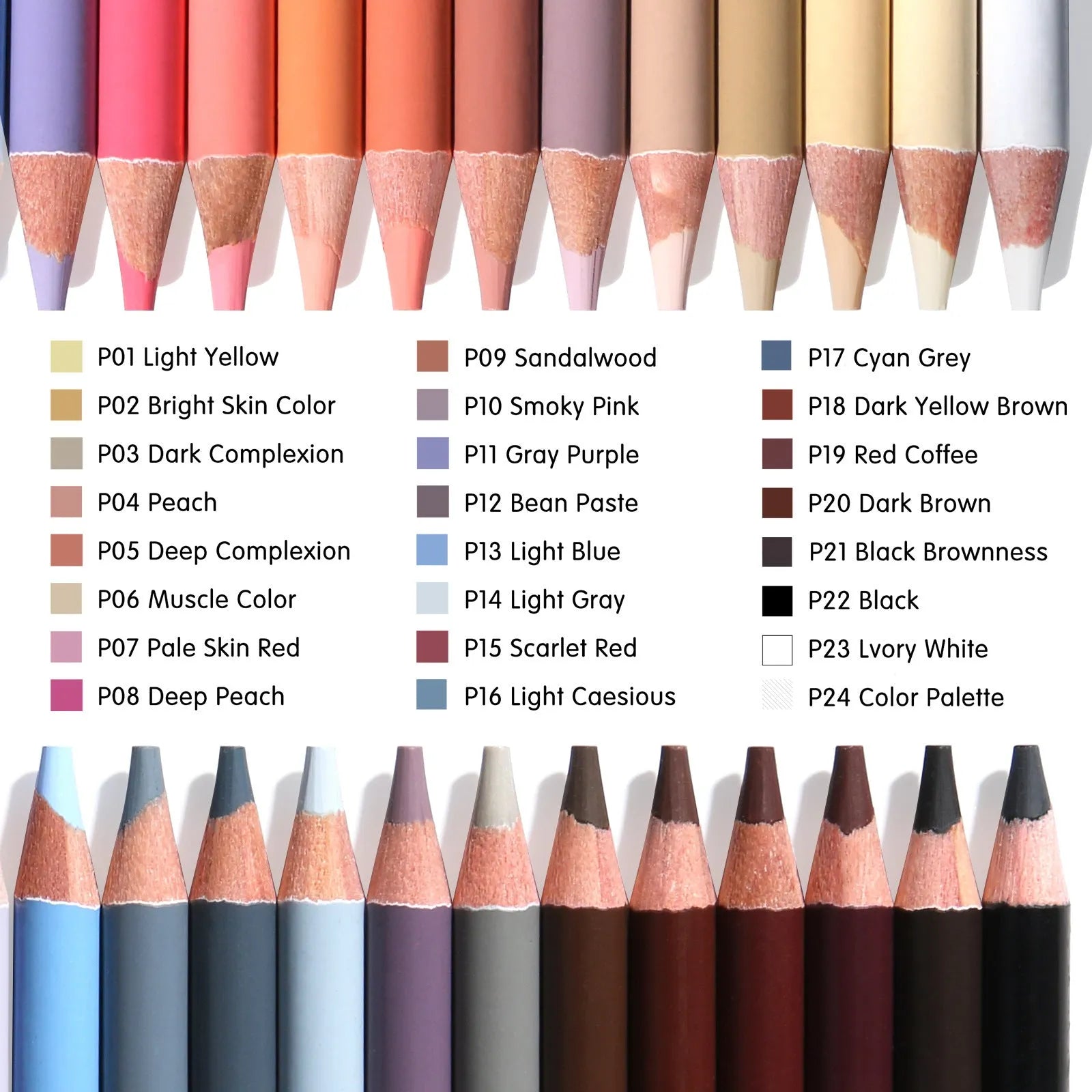 24 skin colour pencils in round metal tin case for portrait drawing artwork