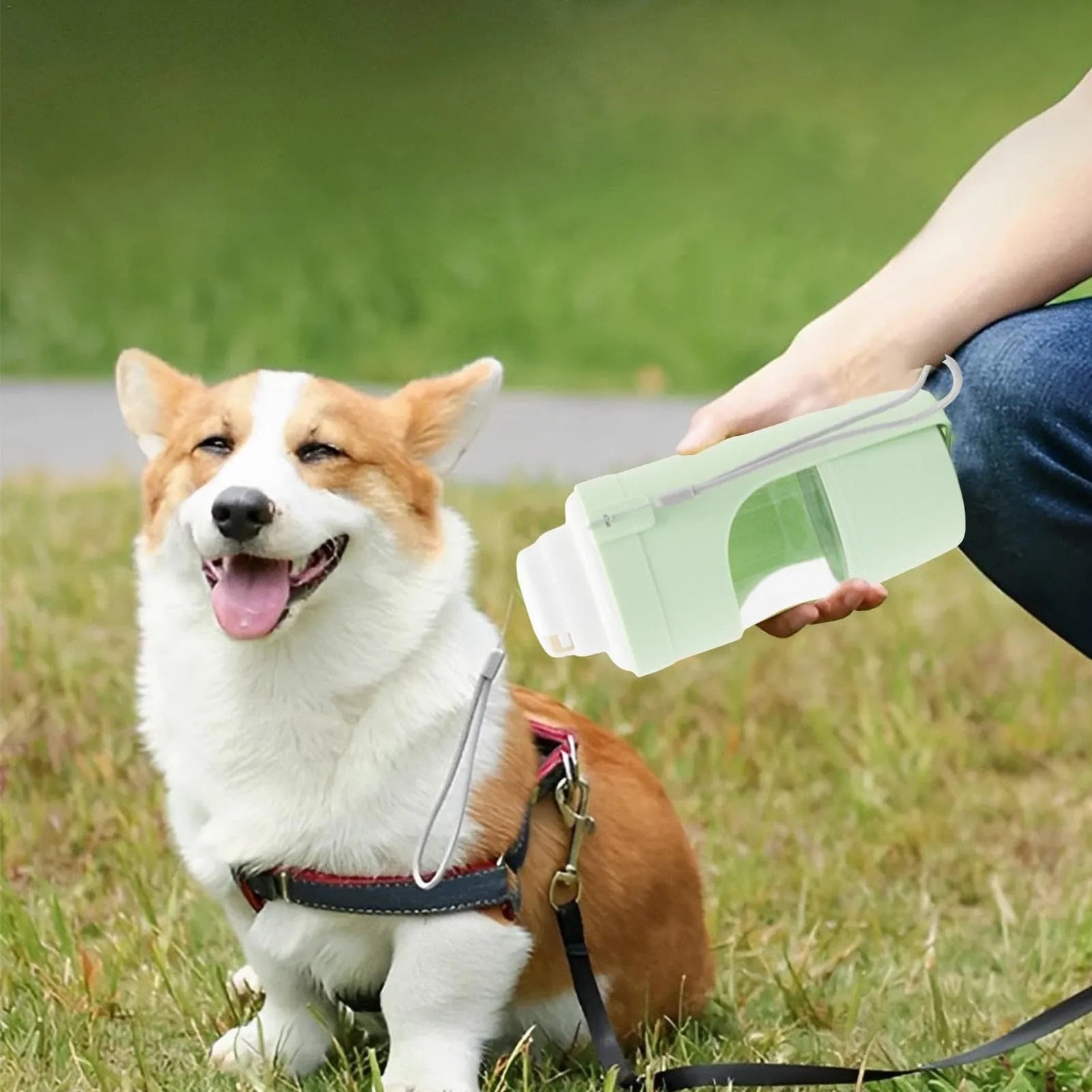 Green portable dog water bottle and feeder with attached lanyard, showing separate food and water compartments.
