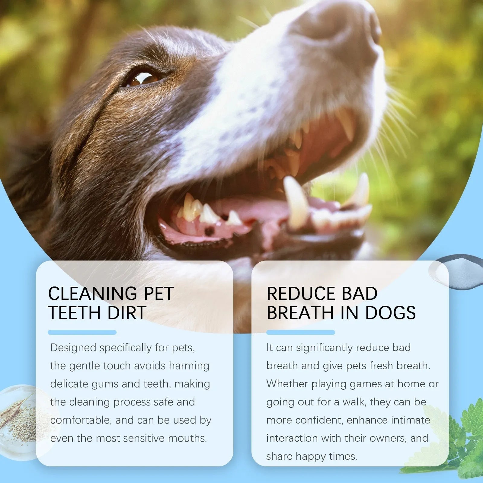 Pet toothbrush pen with 3ml breath-care gel and soft applicator brush for dogs and cats.