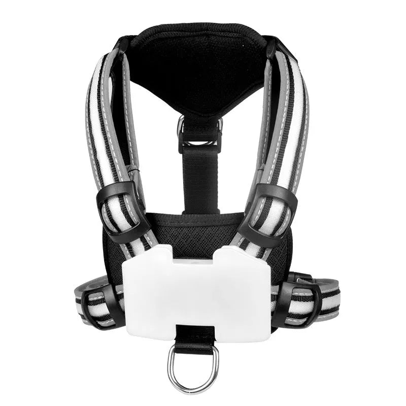 Seven-colour luminous nylon dog lead with USB charging cable for small to large breeds