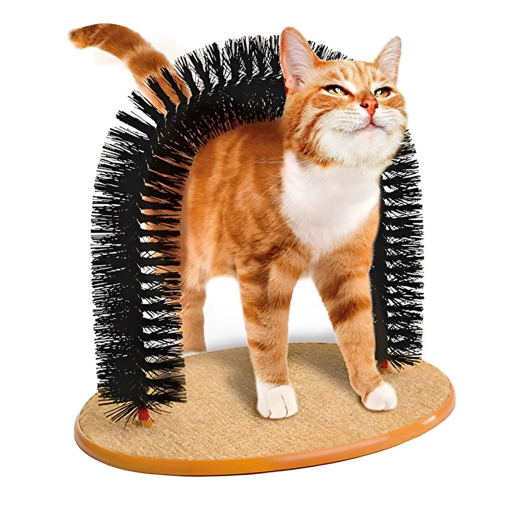 White plastic cat grooming arch scratcher toy with built-in brush bristles
