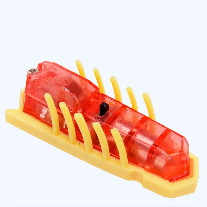 Small motorised insect pet toy in red ladybird design on wooden floor