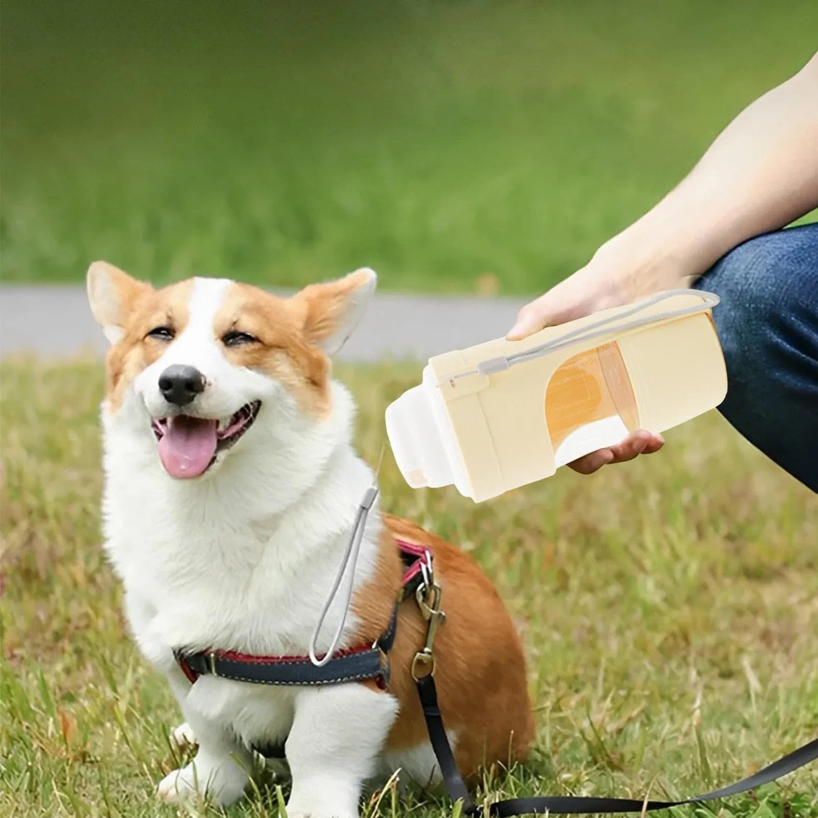 Green portable dog water bottle and feeder with attached lanyard, showing separate food and water compartments.