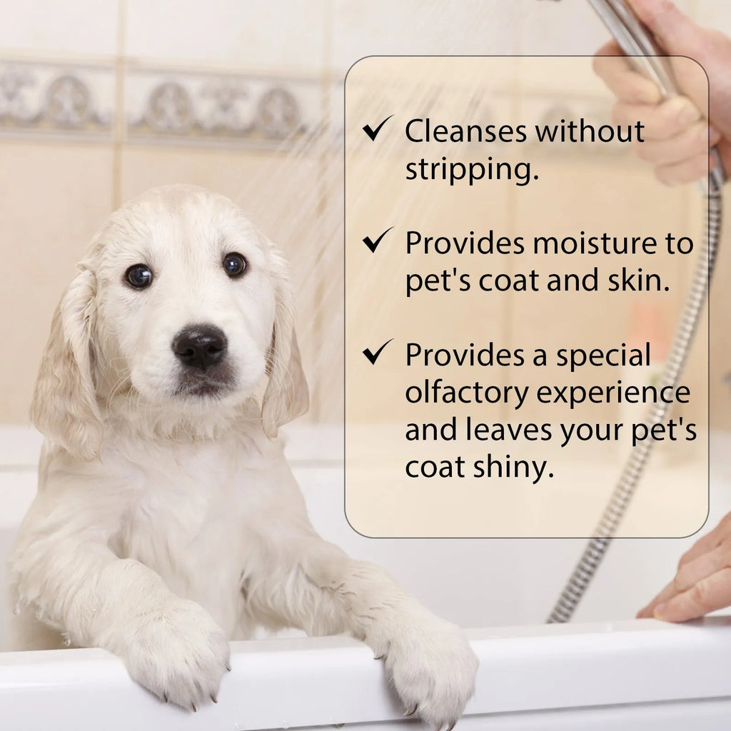 Bottle of mild pet shampoo for cats and dogs that softens fur and helps with knots