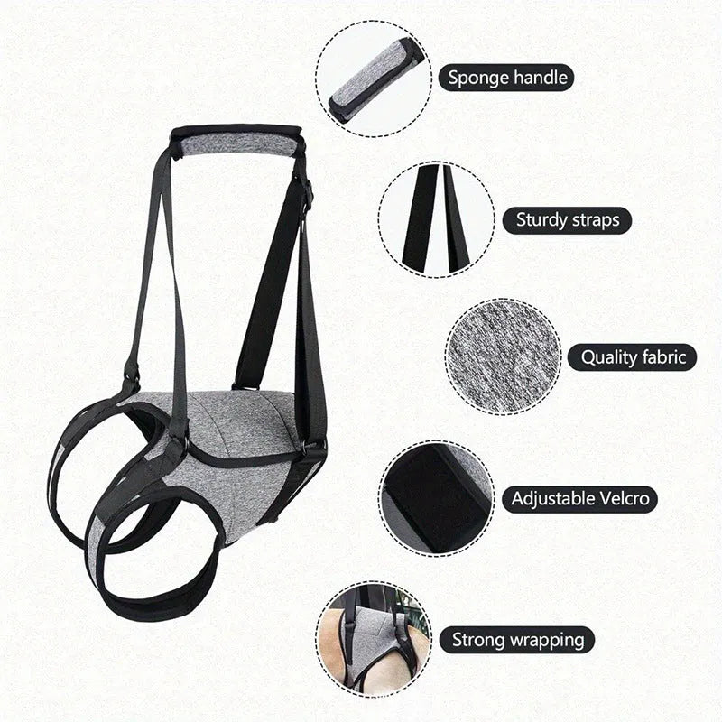 Grey neoprene dog hind leg recovery belt shown with sizing chart for waist and thigh measurements