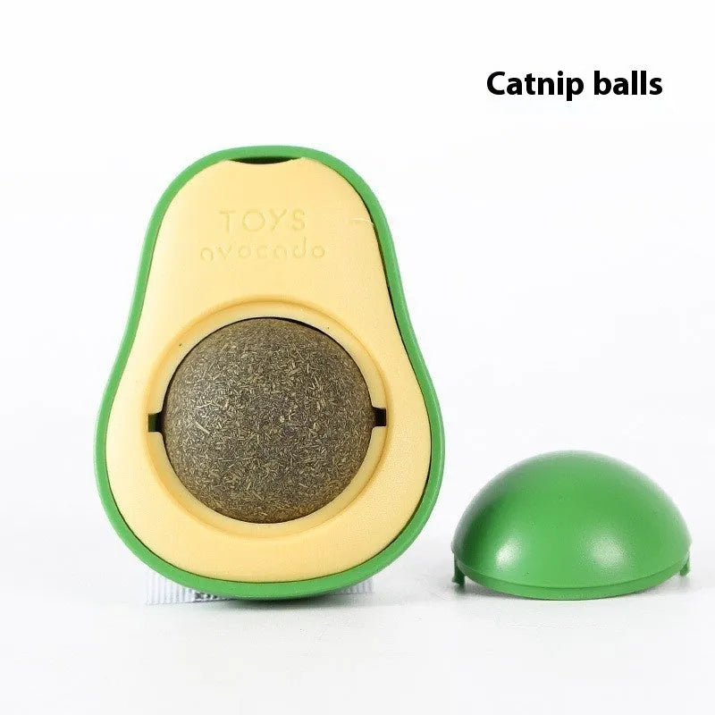Colourful plastic cat toy with textured teeth cleaning surface in avocado bug baby fruit flavour