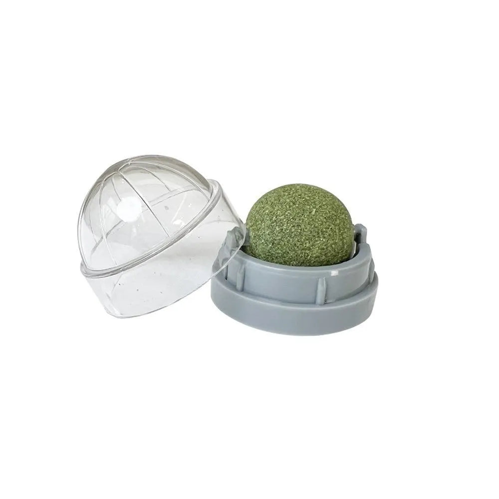 Colourful plastic cat toy with textured teeth cleaning surface in avocado bug baby fruit flavour