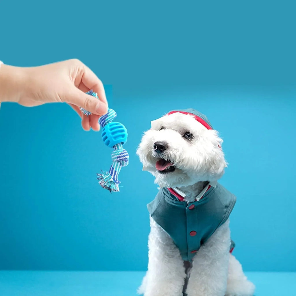 Blue silicone molar-ball dog chew toy with white rope ends on a wooden floor.