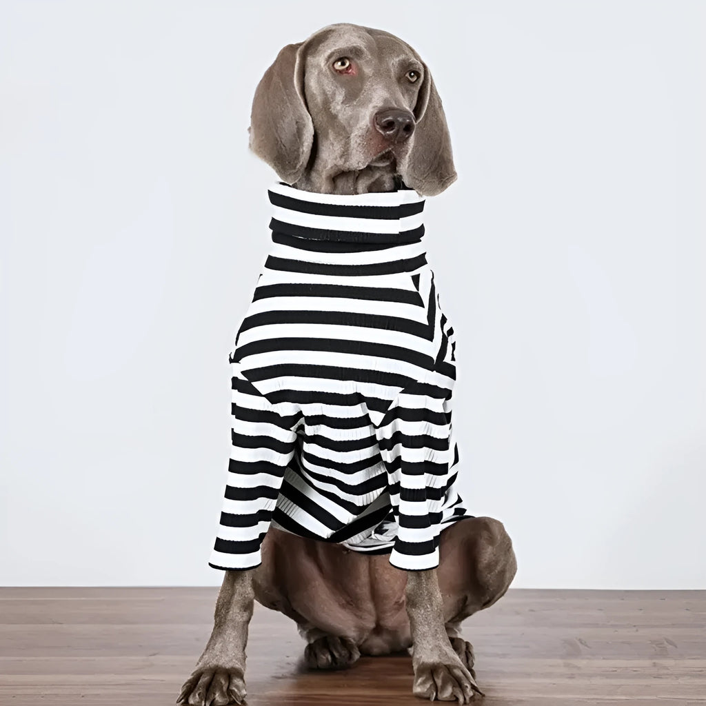 Black and white polyester clothing for a large dog, showing a thin inner layer design.