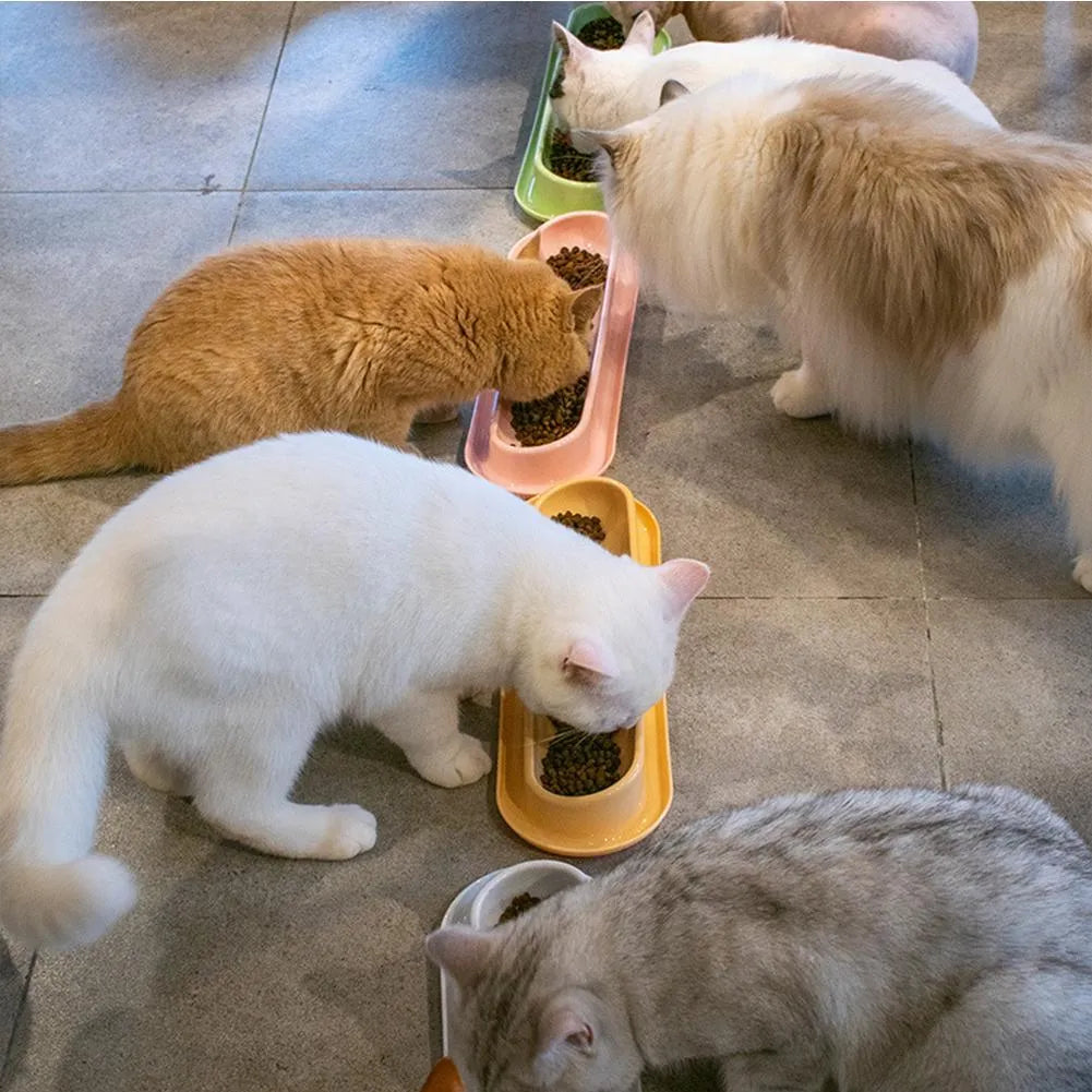 Green portable pet bowl set with two bowls and a silicone leakproof mat for cats and dogs.