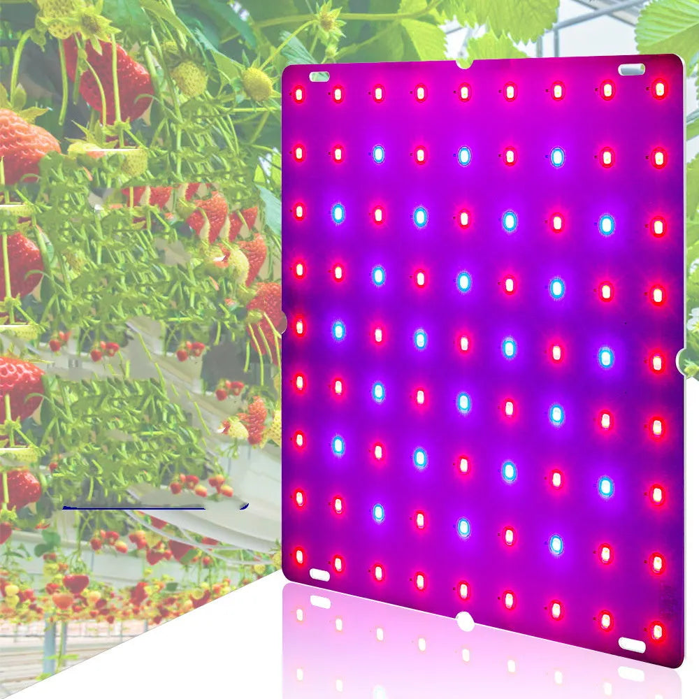 Silver aluminium D-section LED plant grow light with a black hanging hook, for indoor fruits and vegetables.