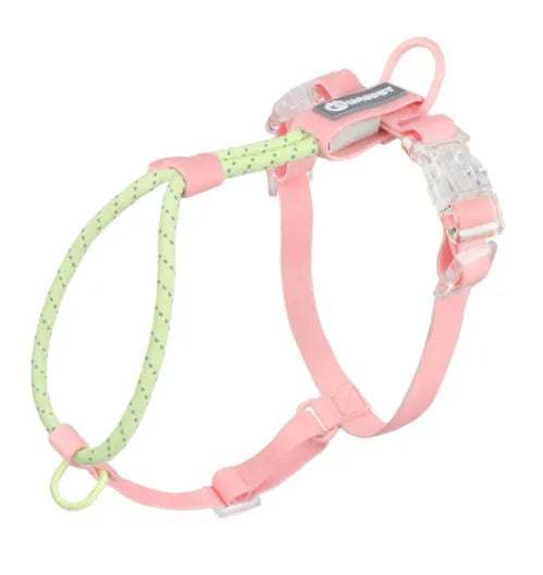 Dark Red Purple Yellow PVC dog leash held in a hand, showing the 120cm length and hand loop
