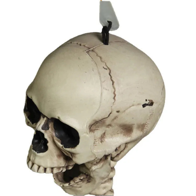 170cm tall plastic skeleton prop with detailed skull for Halloween and display use