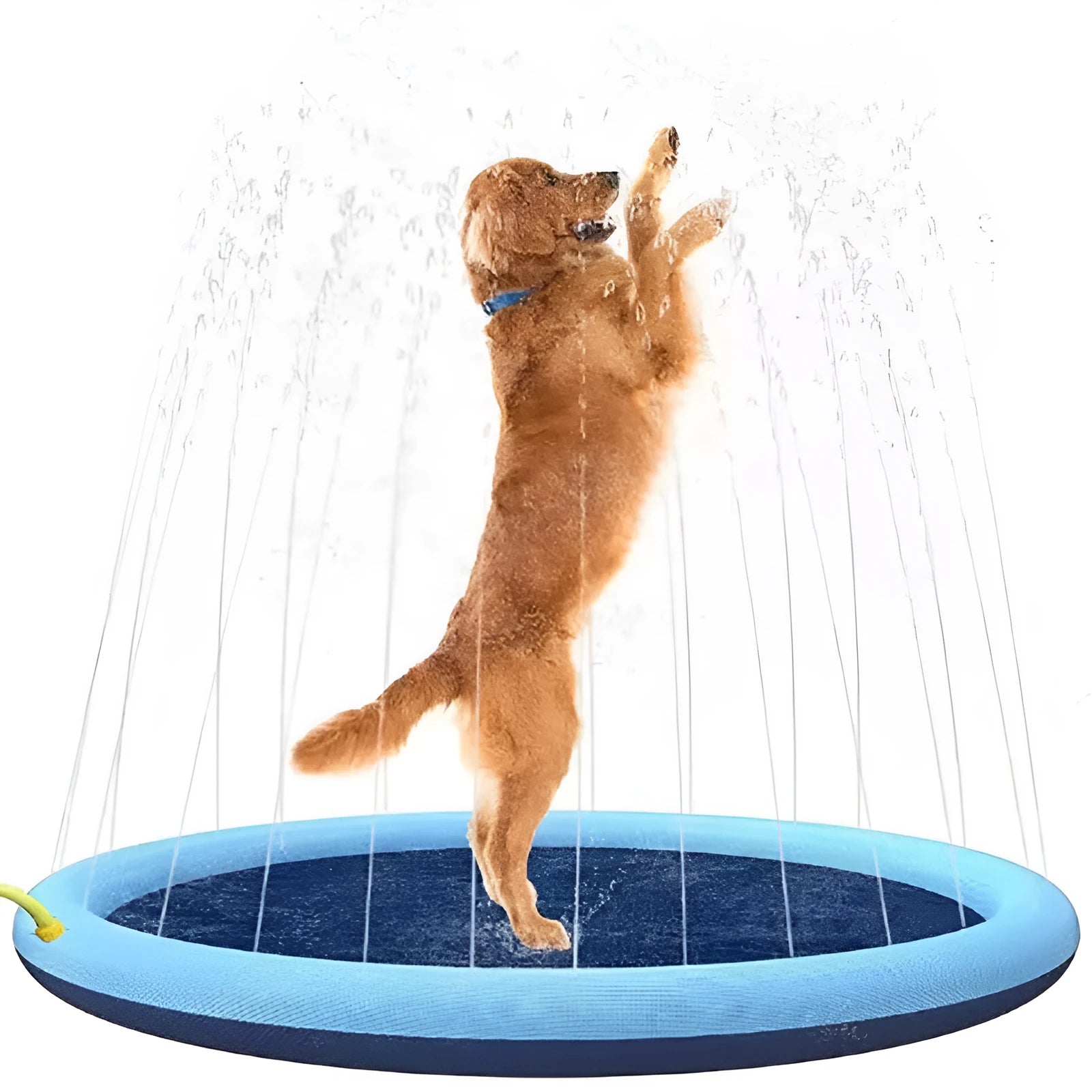 A large blue dog splash pad with a textured bottom, filled with shallow water.