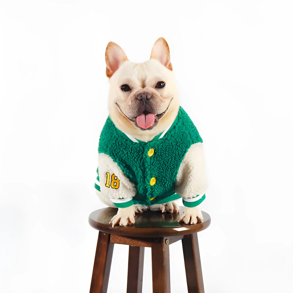 Green fleece-lined cotton winter dog clothing shown on medium to extra large breed