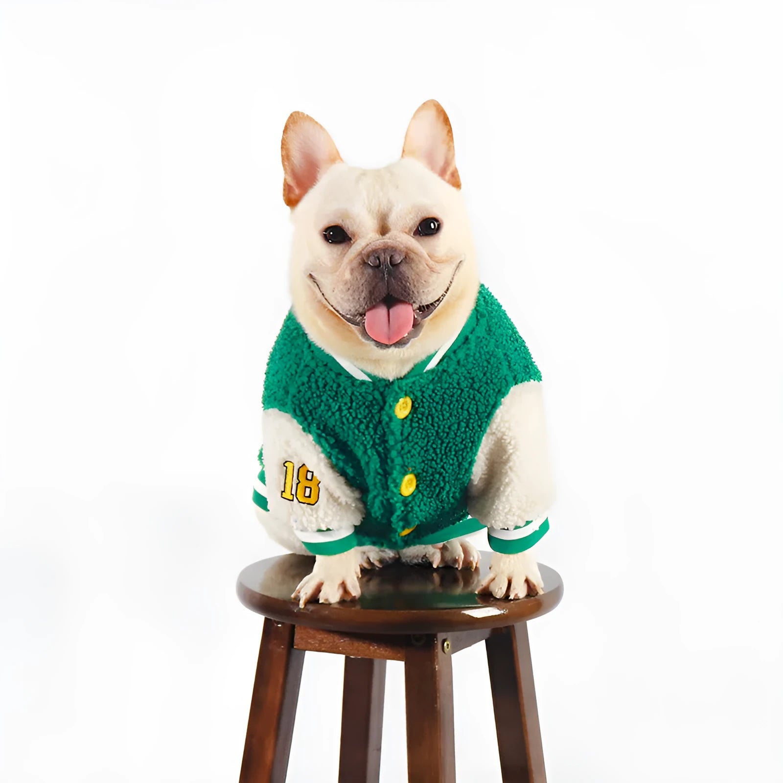 Green fleece-lined cotton winter dog clothing shown on medium to extra large breed