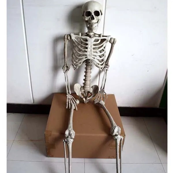 170cm tall plastic skeleton prop with detailed skull for Halloween and display use