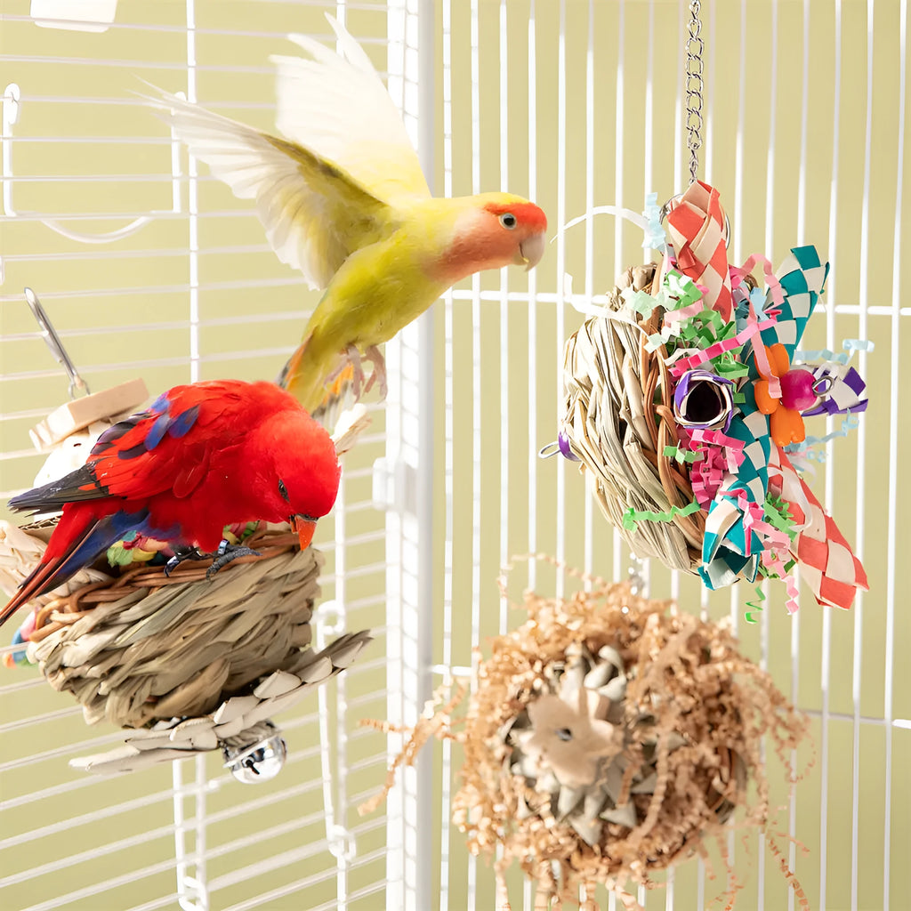 Parrot gnawing molar toy with three types of wooden blocks for chewing enrichment and beak maintenance