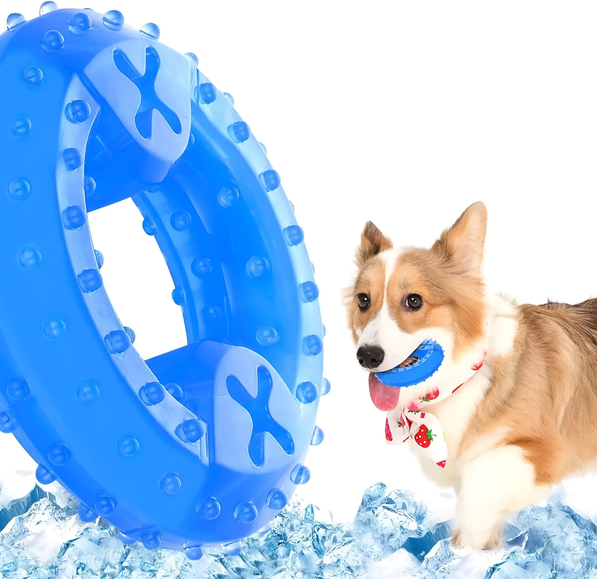 Freezable dog chew toy in bone and circle shapes for cooling and teething relief.