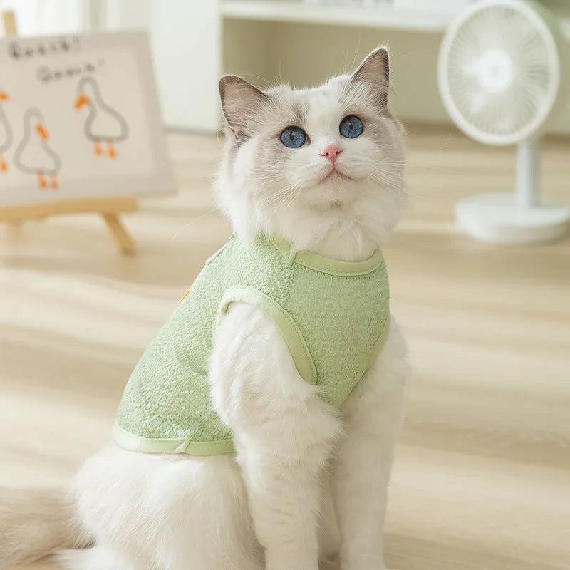 Knitted fabric cat clothes with bear patch in blue, green or yellow colours