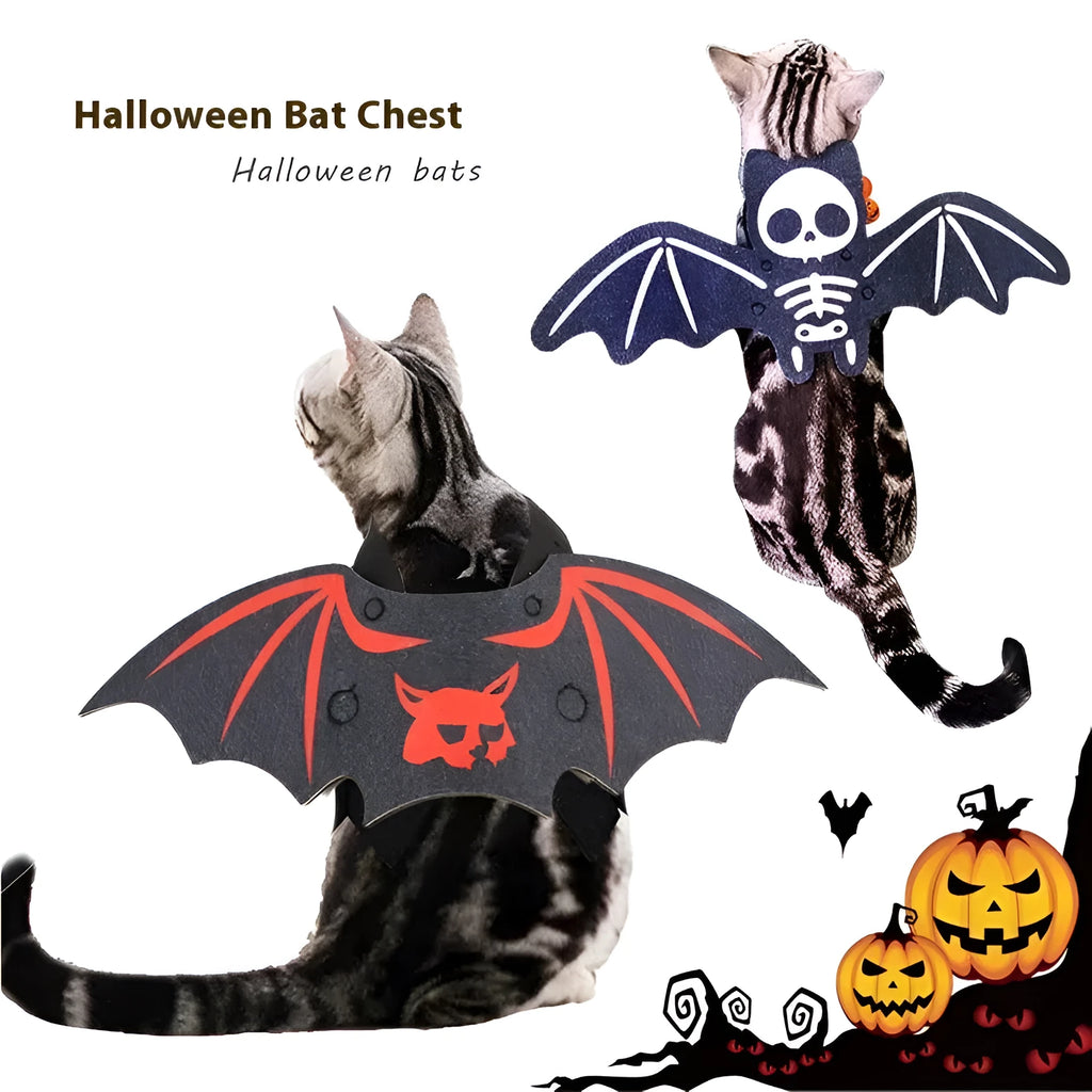 Black cat wearing an orange felt batwing Halloween costume with bell.
