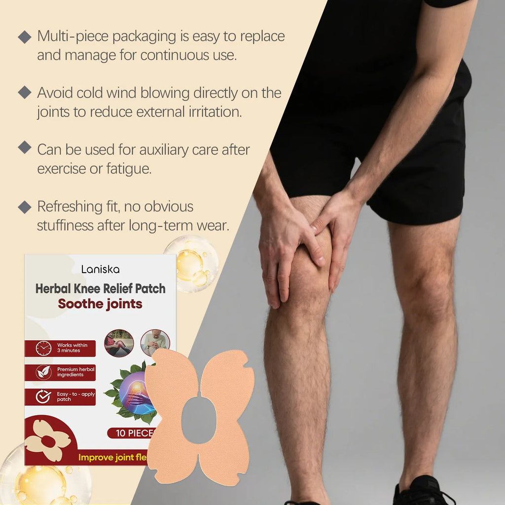 Box of LANISKA herbal joint nursing adhesive bandages, ten pieces with moxa leaf and menthol