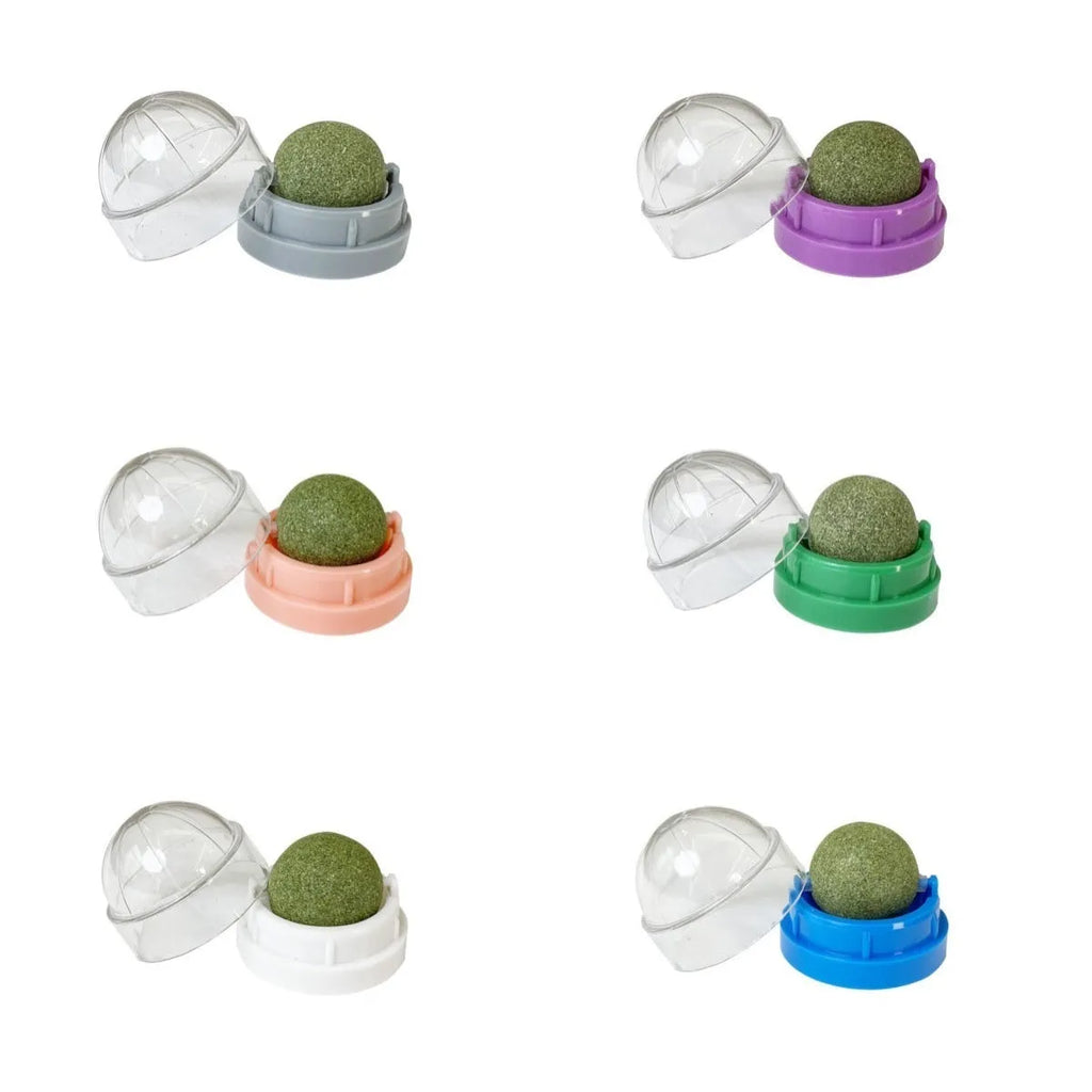 Colourful plastic cat toy with textured teeth cleaning surface in avocado bug baby fruit flavour