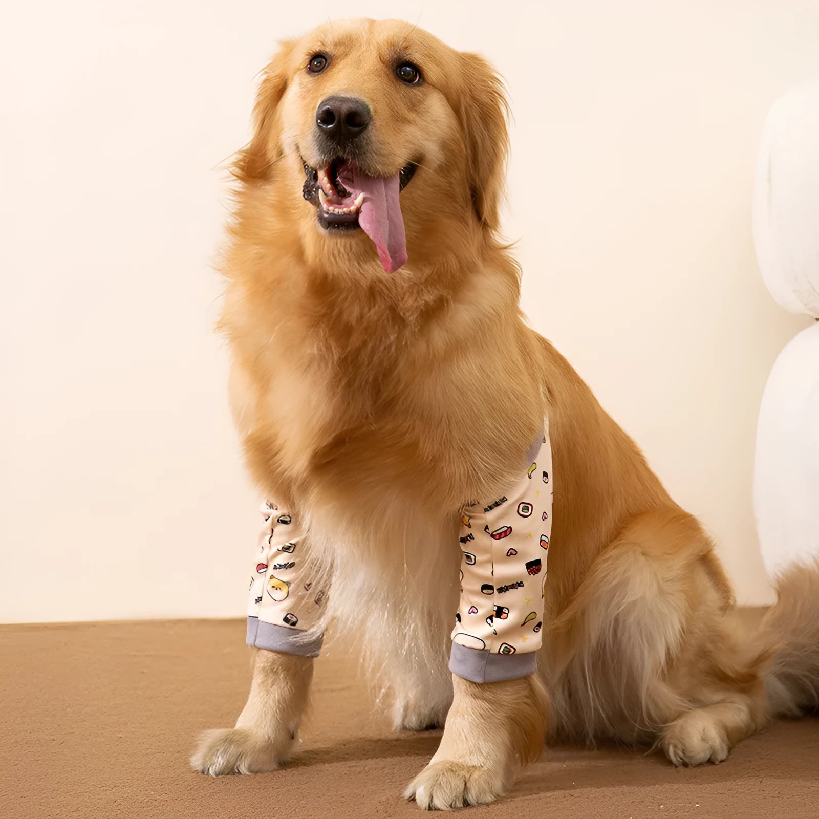 Adjustable dog knee protector with extra-thick elbow padding and coordinating scarf in blue colour