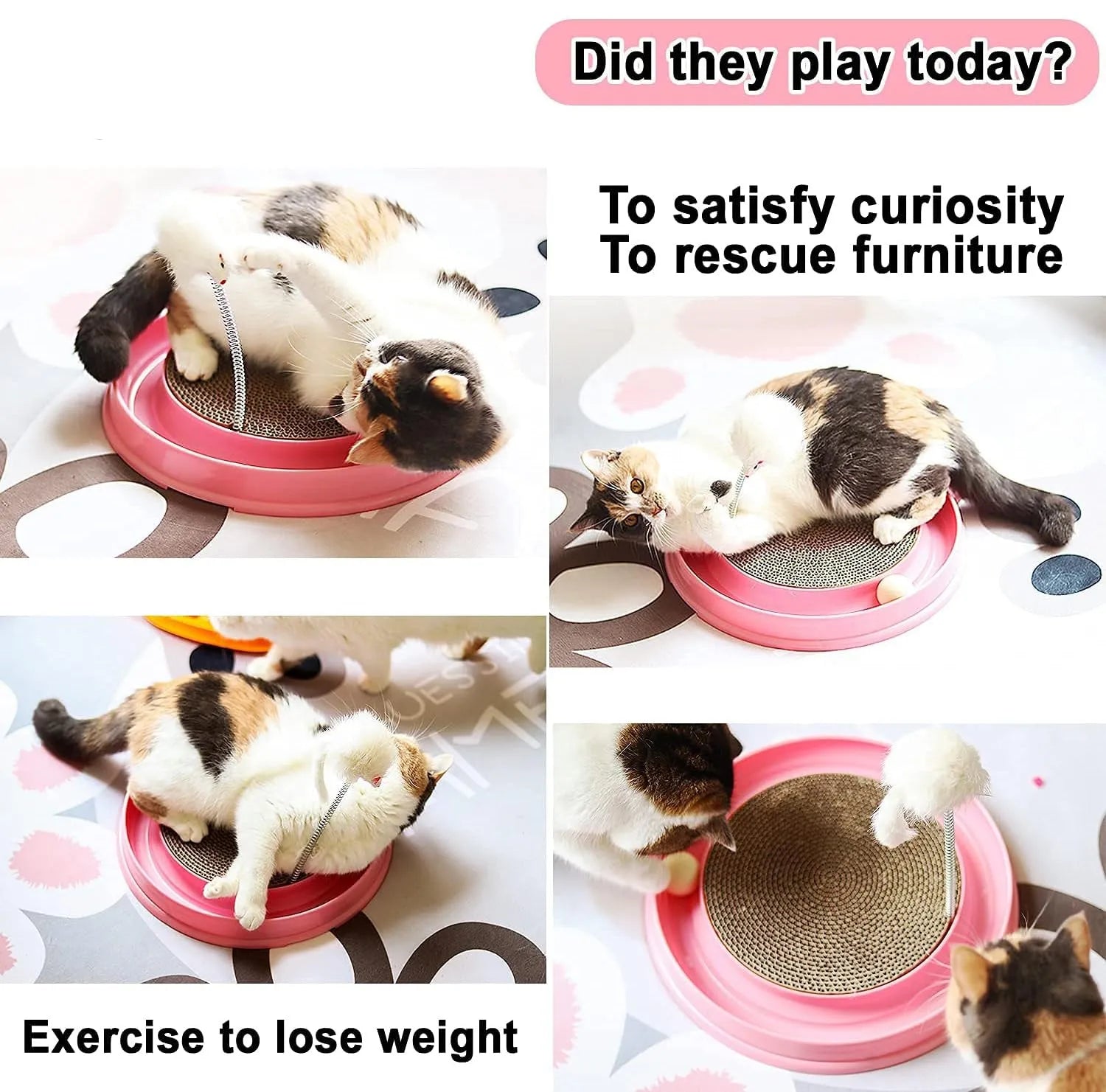 Blue cat scratching pad with circular ball track and replaceable cardboard centre for feline scratching and play