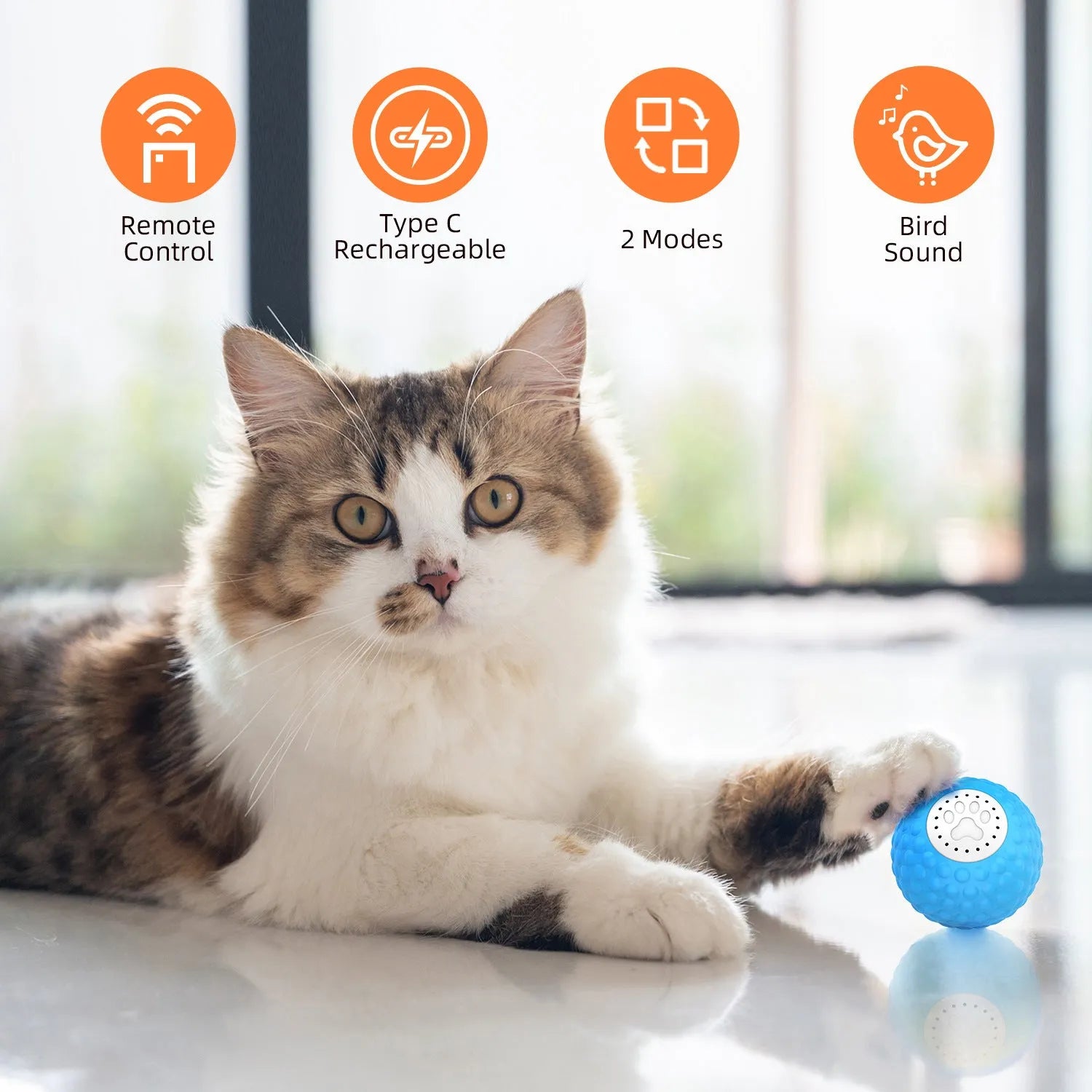 Remote control cat toy ball in blue, green and yellow colours with transmitter