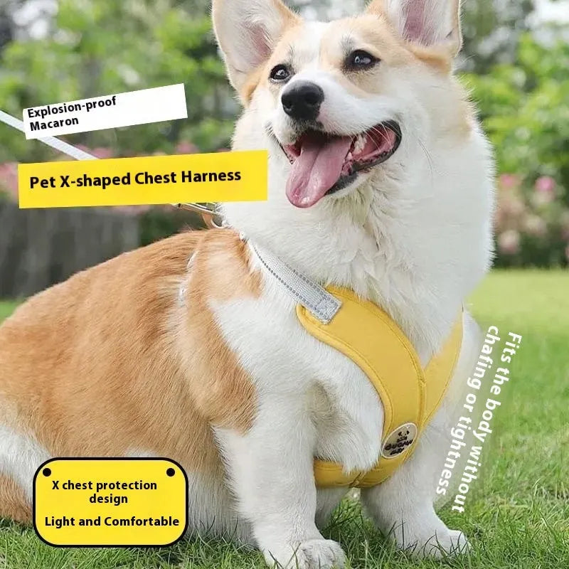 Adjustable polyester dog vest and hand holding rope set in blue, green, pink or yellow colours