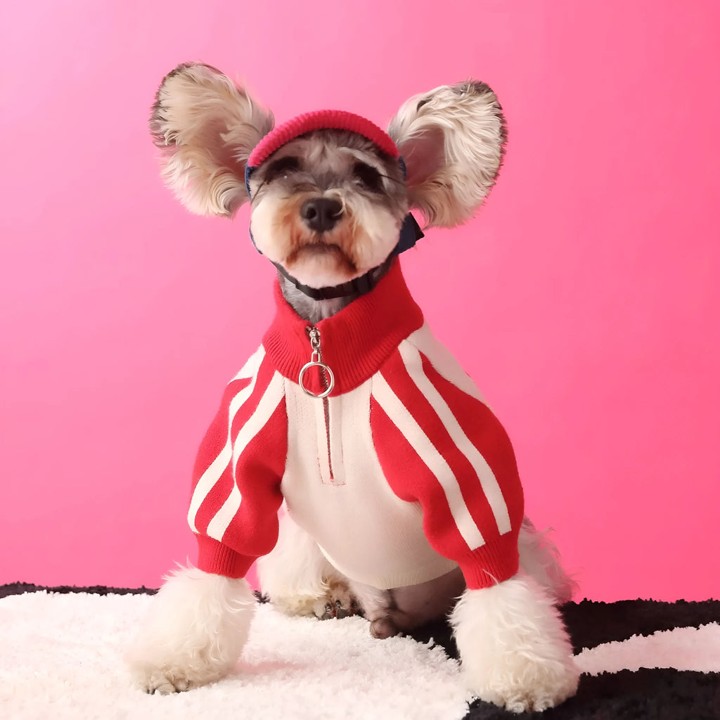 Red wool sports cardigan sweater for dogs on a pet mannequin showing casual pet clothing design