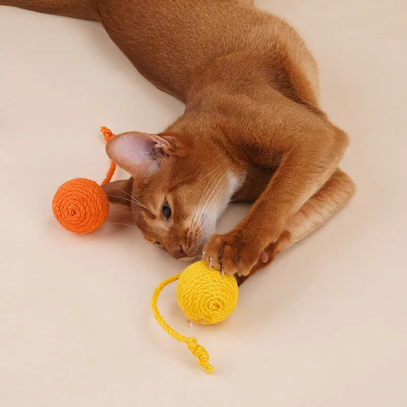 Four-piece cat toy set showing 255mm teaser wand with string, catnip ball, self-play wire, and fabric element in assorted colours