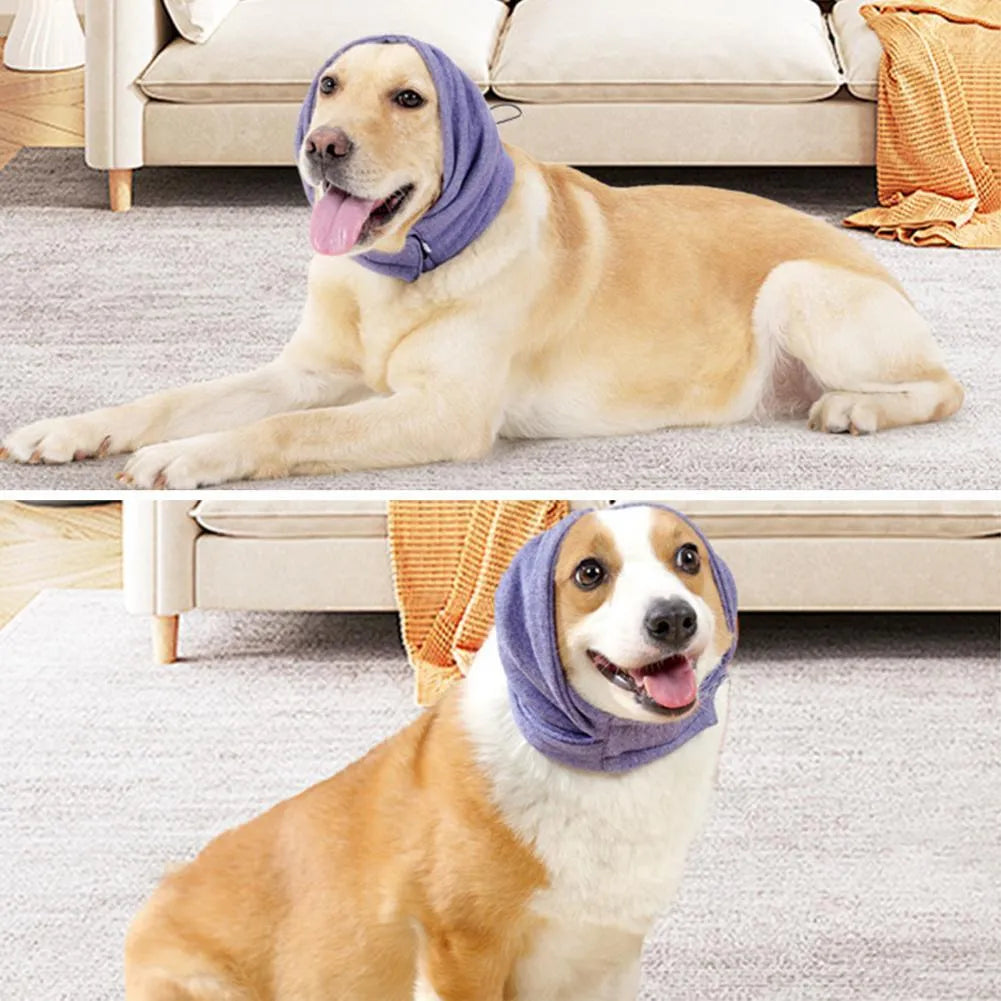 A black dog wearing a purple polyester calming hoodie that covers its head and ears.