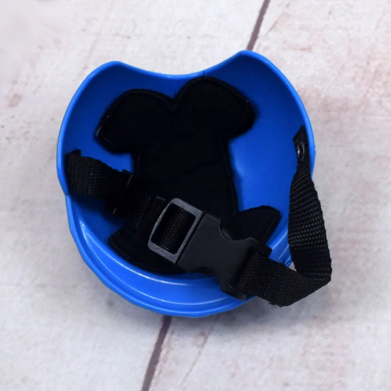 Plastic dog motorcycle cap helmet in various colours and sizes on a table