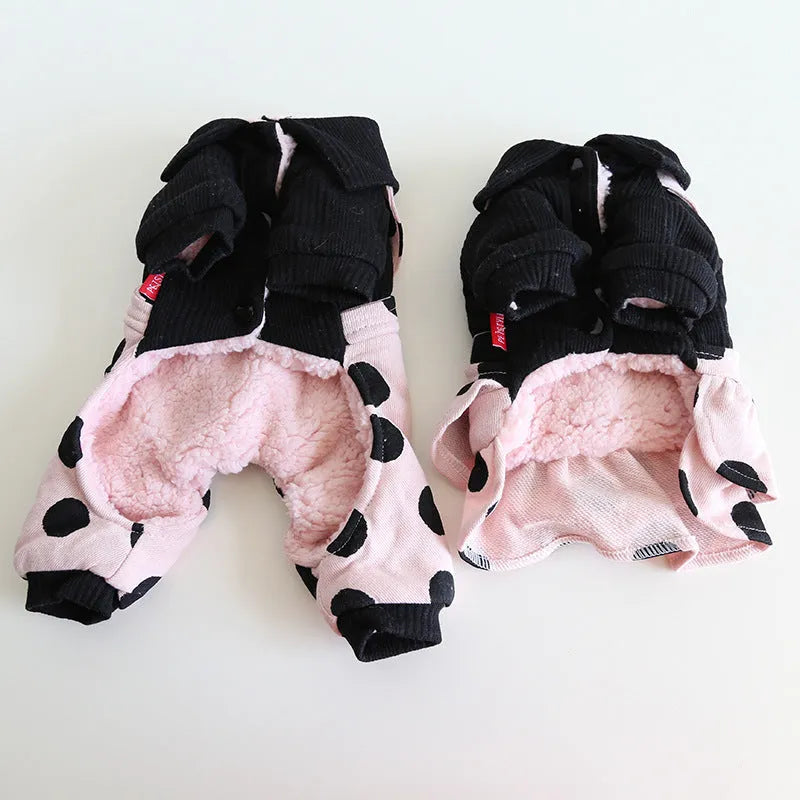 Dog wearing couple clothes with lapel and shoulder strap design in casual cloth style