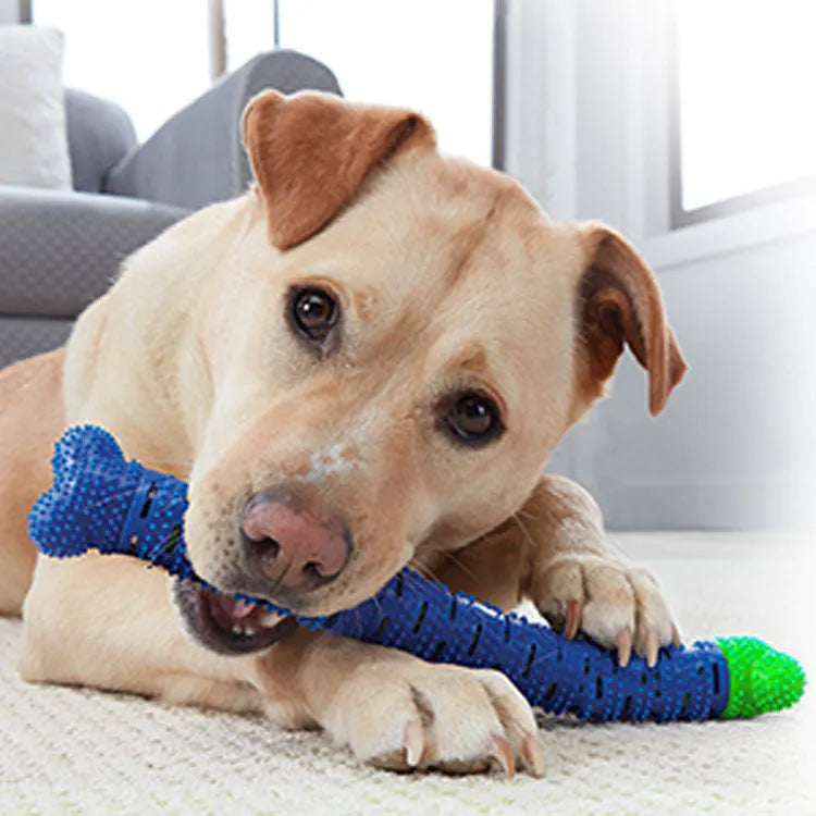 Blue and green silicone dog molar tooth cleaner toy with textured brush head and nodules.