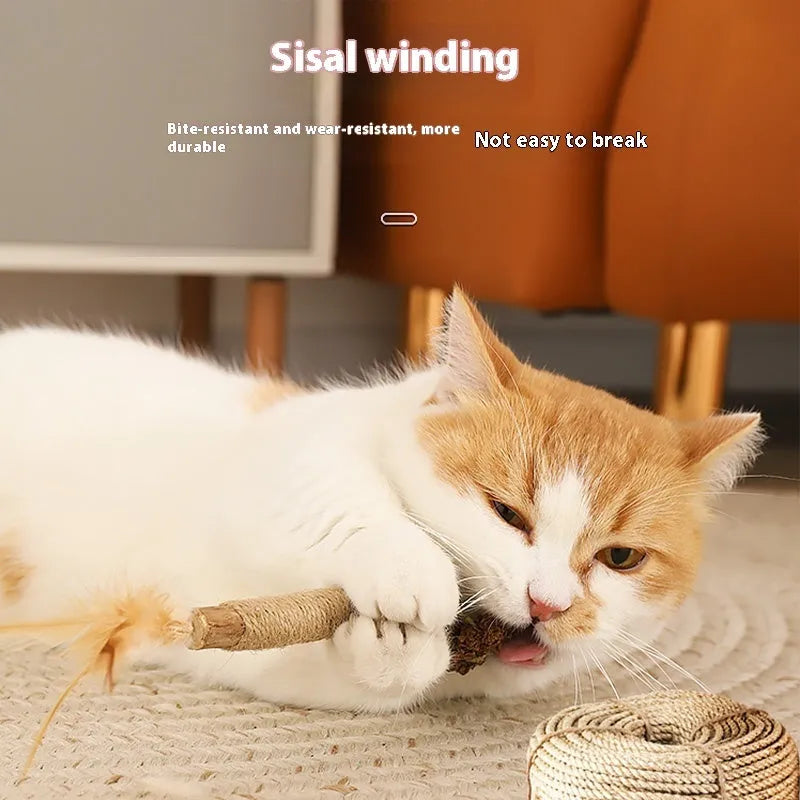 Polygonum cat teeth grinding rod chew toy with 2.2 cm diameter in chicken feather or raffia style
