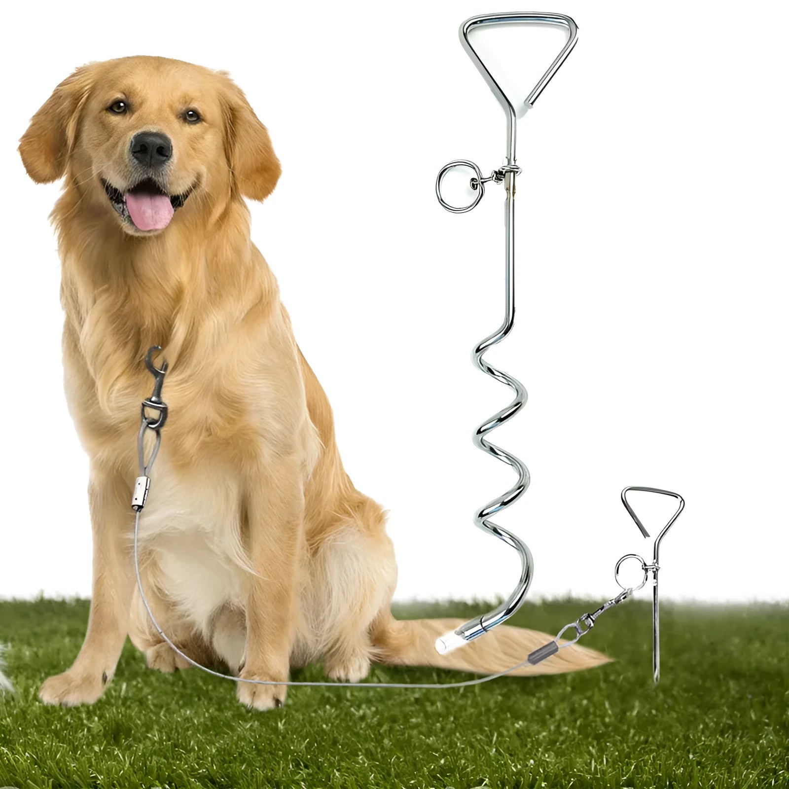 Silver spiral dog tie out stake for ground anchoring in outdoor sandy soil conditions